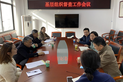 民建长沙市委会监督委员会开展年度督查工作