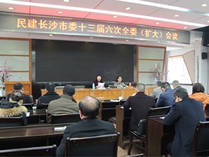 市委会召开十三届六次全委（扩大）会议