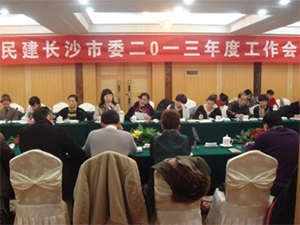 市委会召开2013年度工作会议