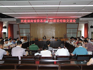 我会承办湖南民建基层组织建设经验交流会