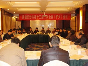 市委会召开十三届二次全会