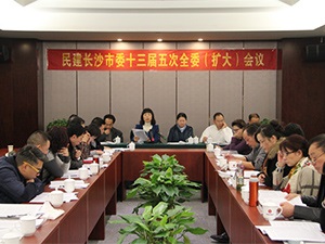 民建长沙市委召开十三届五次全委（扩大）会议