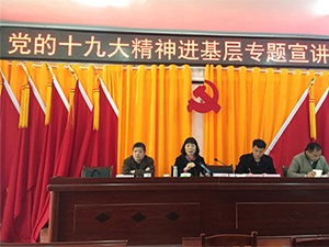 主委段安娜赴精准扶贫联点村宣讲中共十九大精神